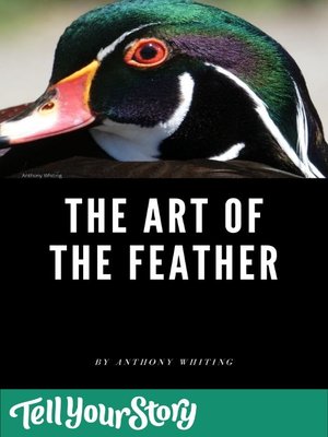 cover image of The Art of the Feather